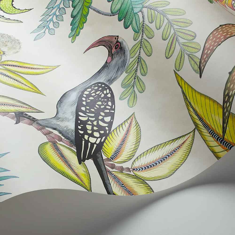 Cole & Son Savuti Wallpaper display unrolled to view the botanical pattern in striking cream