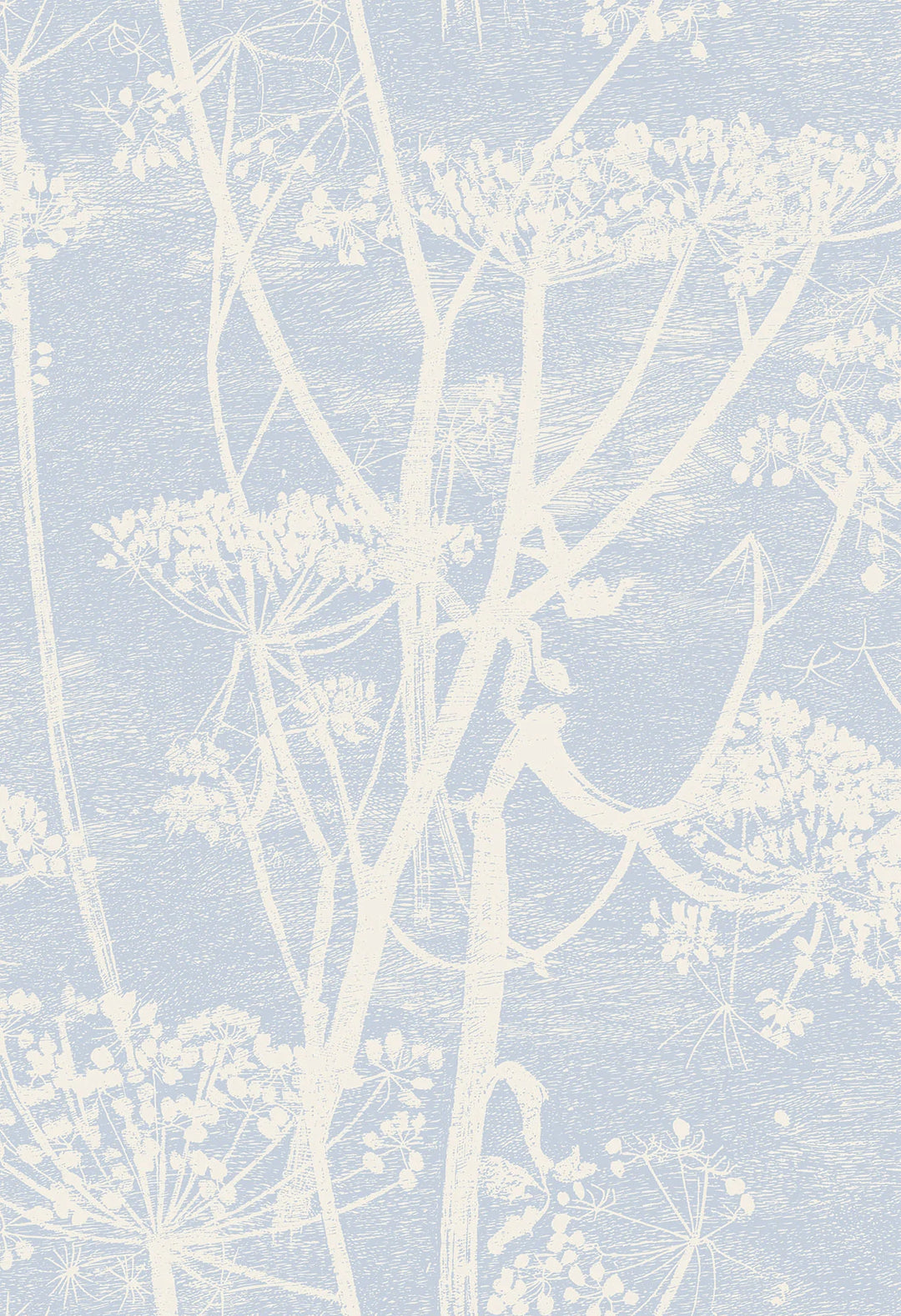 Cow Parsley Wallpaper by Cole & Son - 66/7050 | Modern 2 Interiors