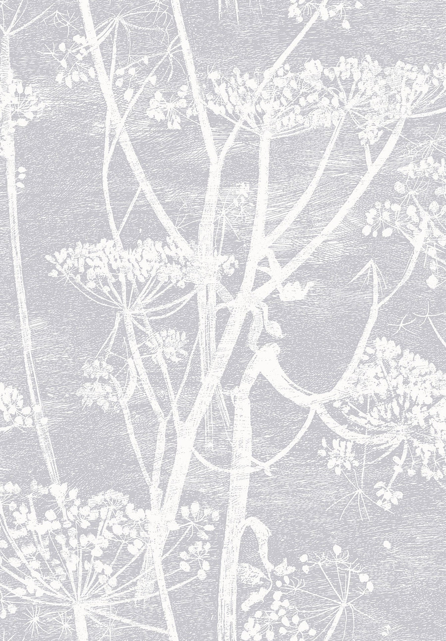 Cow Parsley Wallpaper by Cole & Son - 95/9049 | Modern 2 Interiors