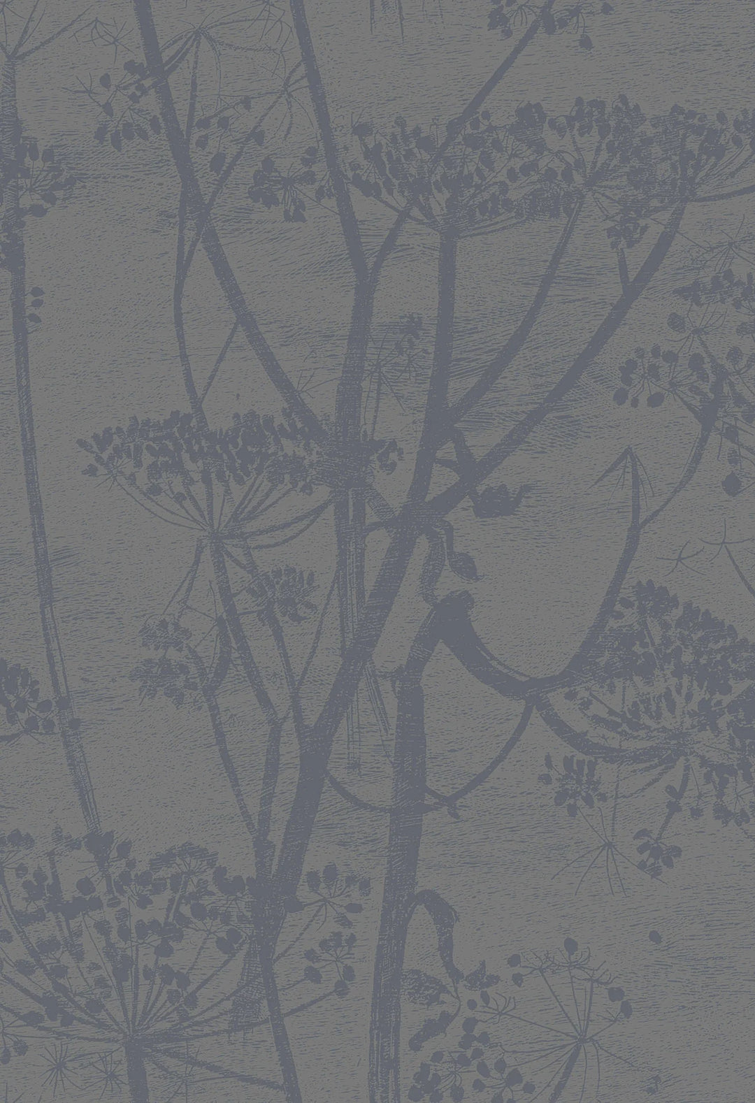 Cow Parsley Wallpaper by Cole & Son - 95/9050 | Modern 2 Interiors