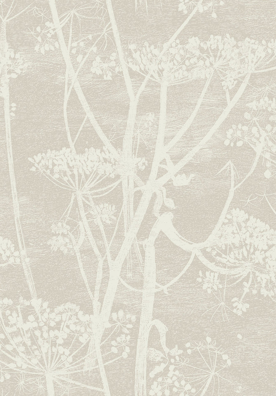 Cow Parsley Wallpaper by Cole & Son - 95/9051 | Modern 2 Interiors