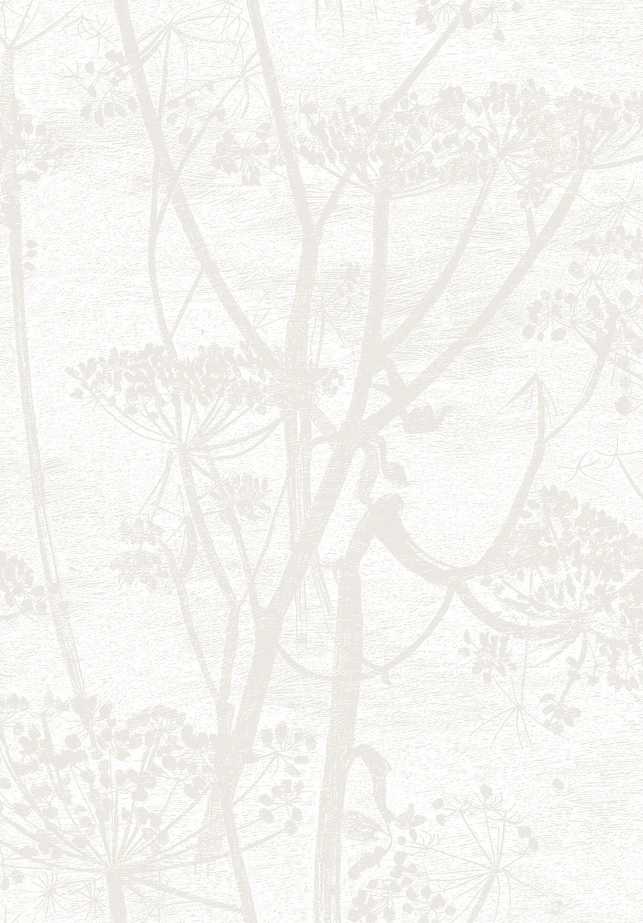Cow Parsley Wallpaper by Cole & Son - 95/9052 | Modern 2 Interiors