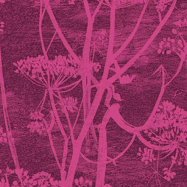 Cole & Son Cow Parsley Velvet Fabric | Magenta & Plum | F111/5017