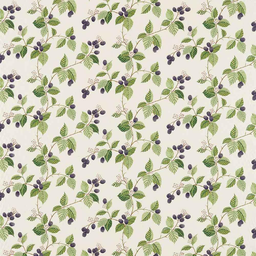 Rubus Blackberry Fabric