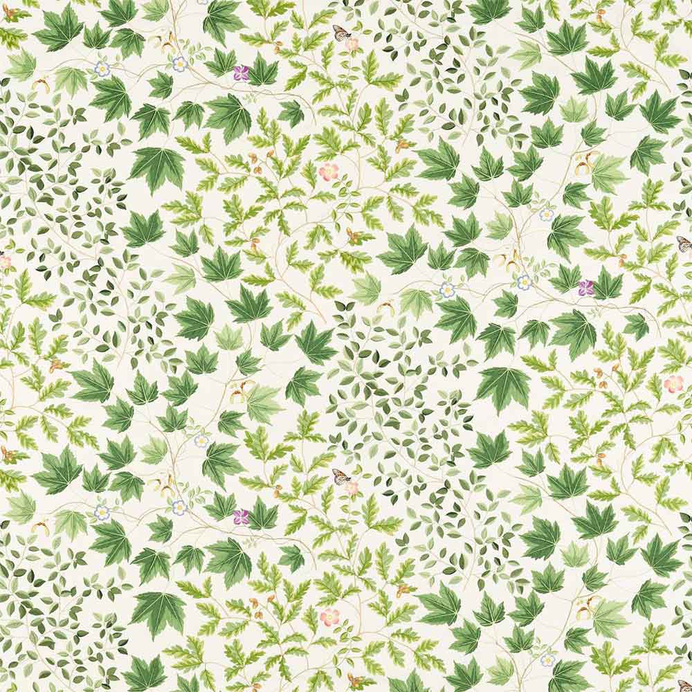 Sycamore & Oak Botanical Green Fabric