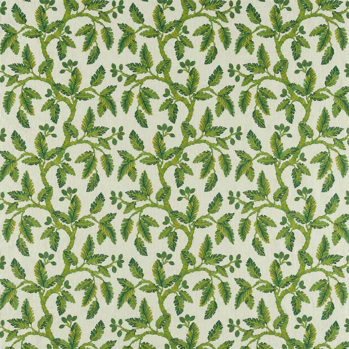 Oaknut Stripe Botanical Green Fabric