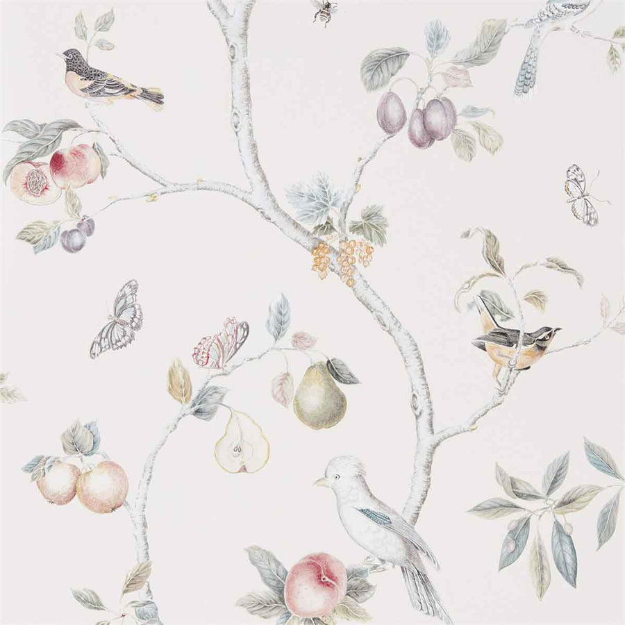 Fruit Aviary Cream & Multi Wallpaper by Sanderson - 216314 | Modern 2 Interiors
