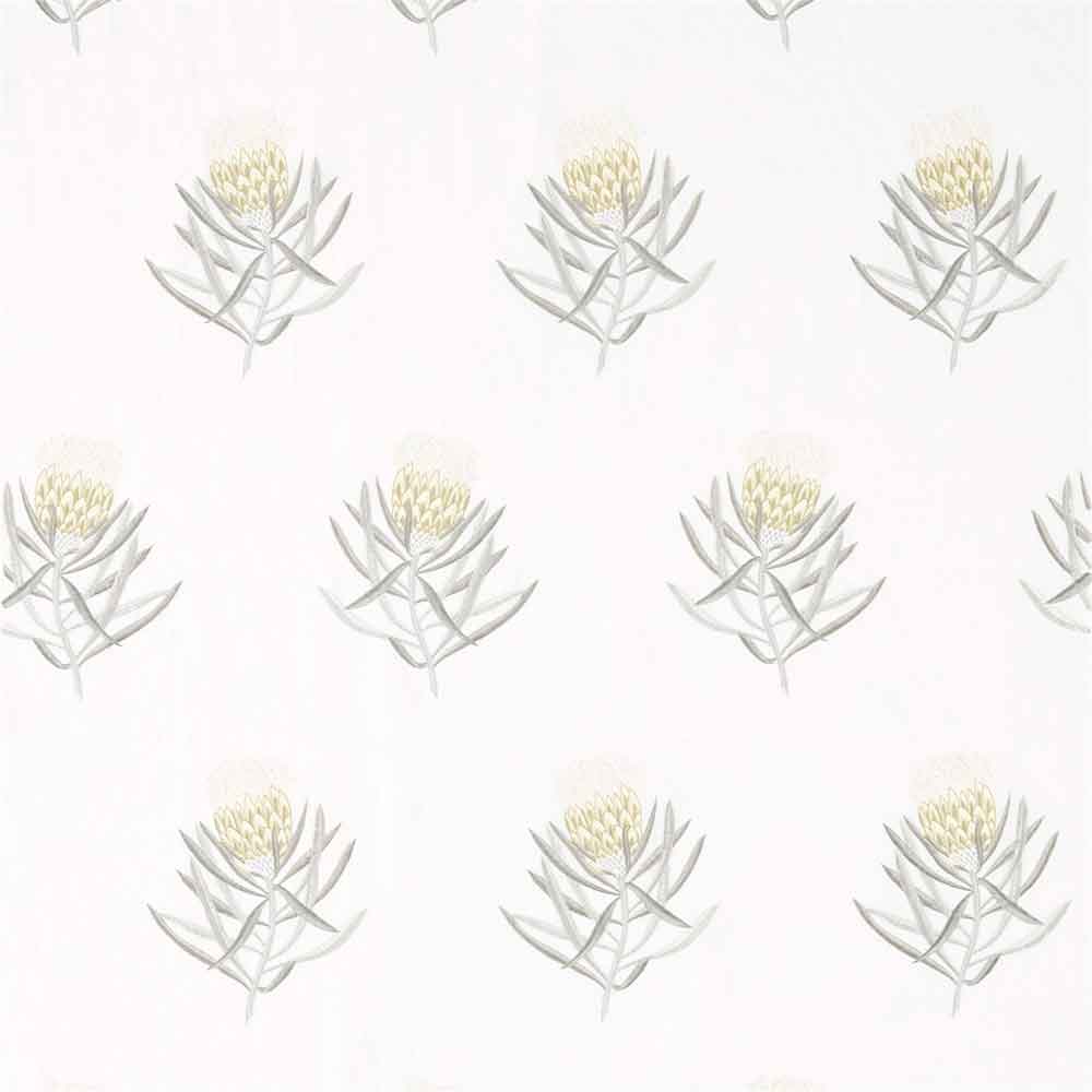 Protea Flower Daffodil & Natural Fabric