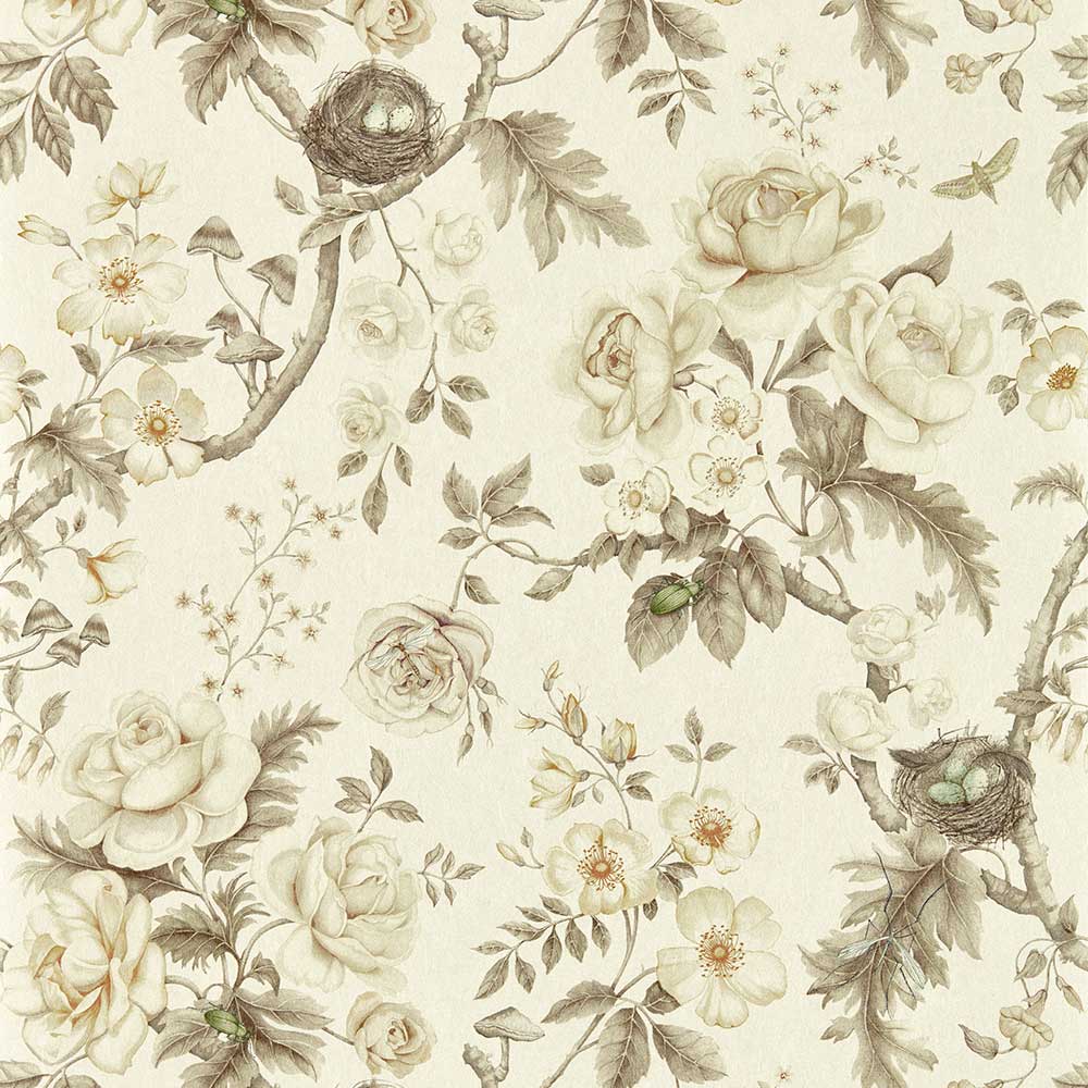 Sanderson Tansy Bloom Wallpaper | Oyster | 217315
