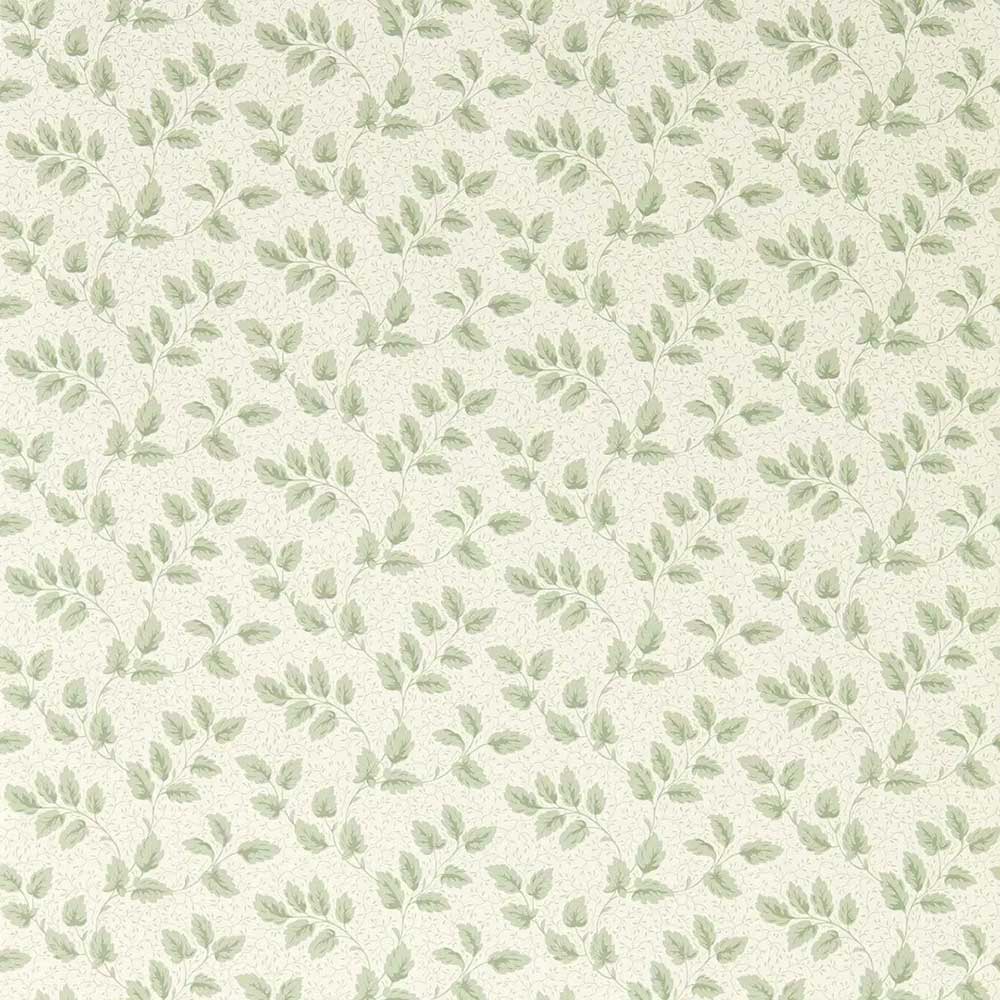 Tomato Leaf Willow Wallpaper