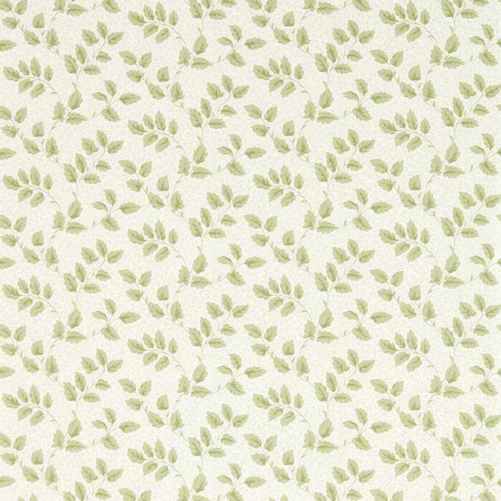 Tomato Leaf Leaf Green Wallpaper