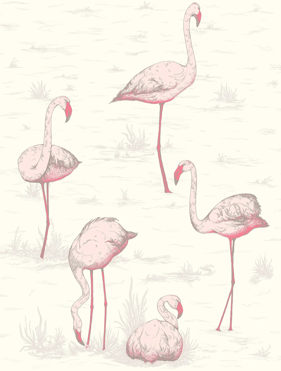 Flamingos Wallpaper by Cole & Son - 95/8045 | Modern 2 Interiors