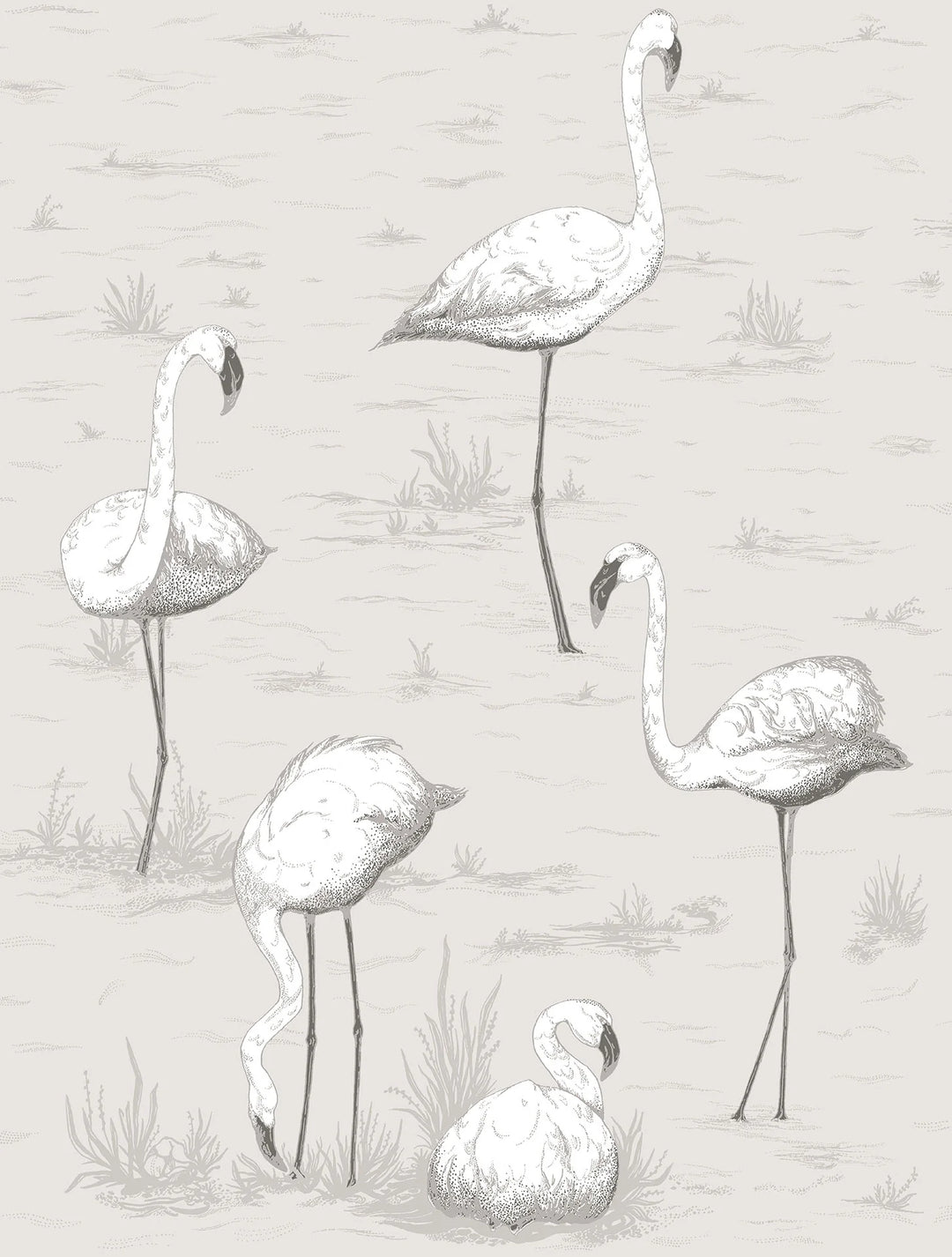 Flamingos Wallpaper by Cole & Son - 95/8046 | Modern 2 Interiors