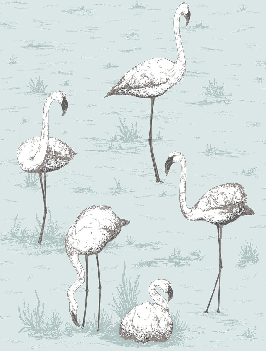 Flamingos Wallpaper by Cole & Son - 95/8047 | Modern 2 Interiors