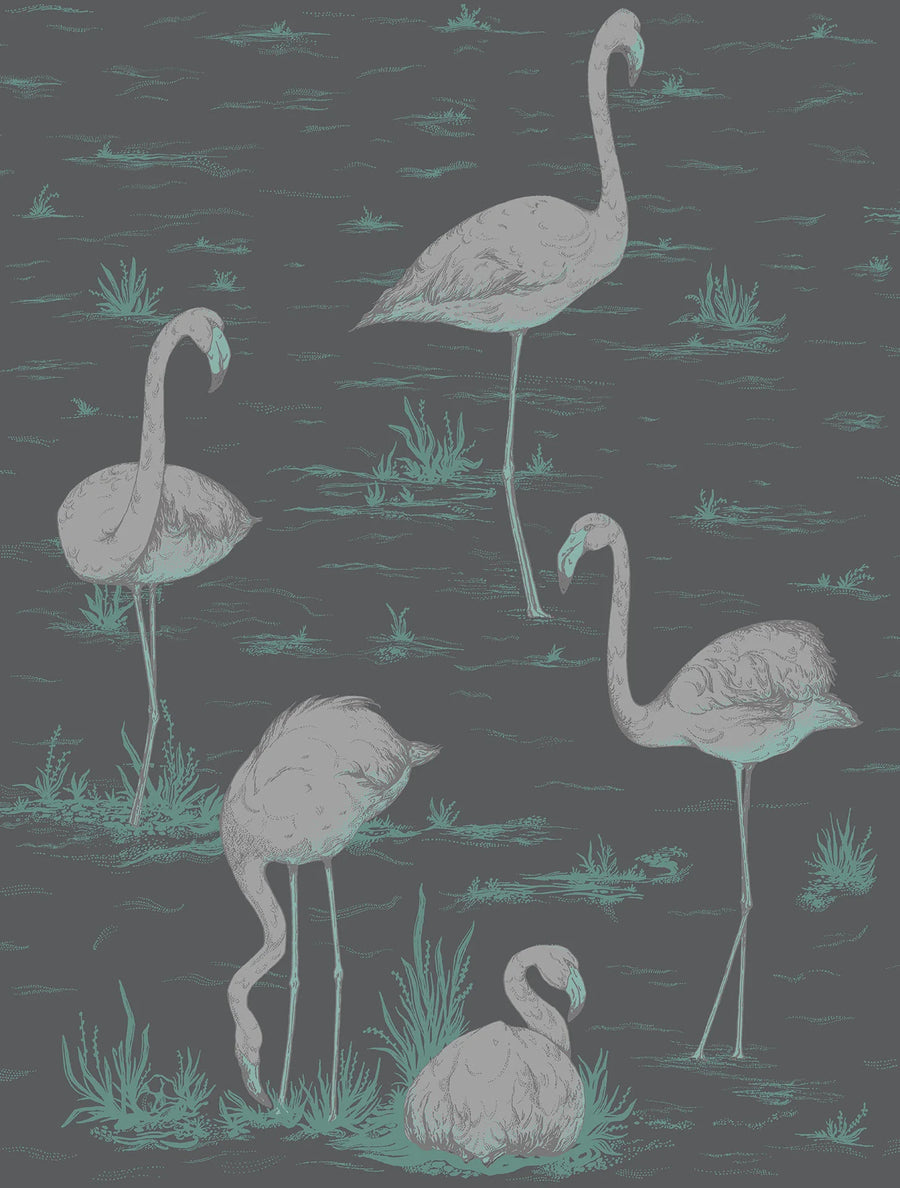 Flamingos Wallpaper by Cole & Son - 95/8048 | Modern 2 Interiors