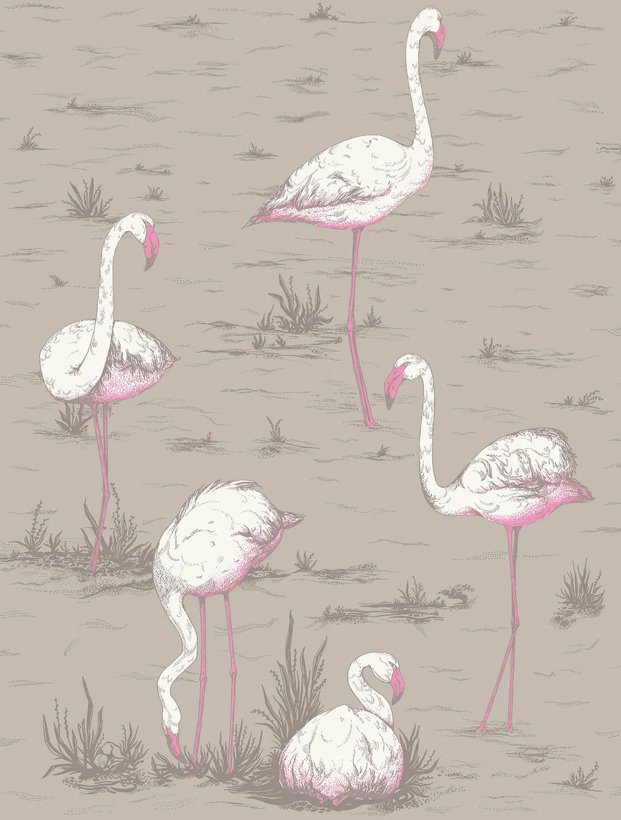 Flamingos Wallpaper by Cole & Son - 66/6042 | Modern 2 Interiors