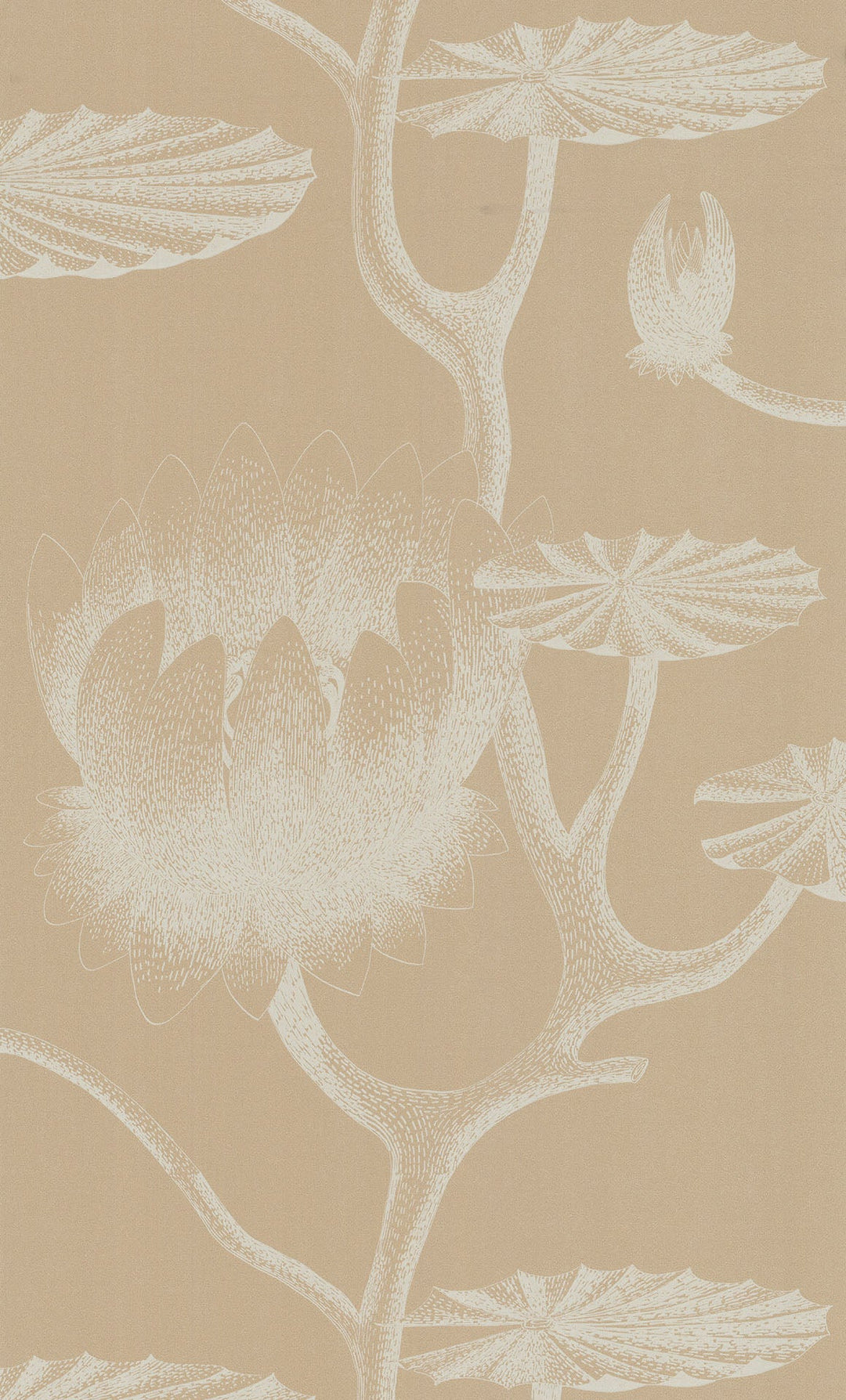 Lily Wallpaper by Cole & Son - 69/3113 | Modern 2 Interiors