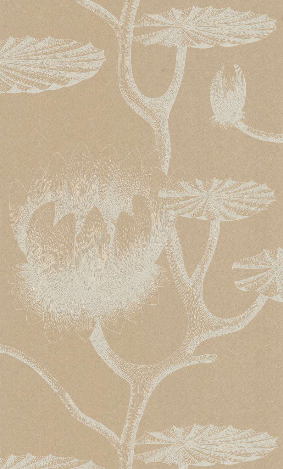 Lily Wallpaper by Cole & Son - 69/3113 | Modern 2 Interiors