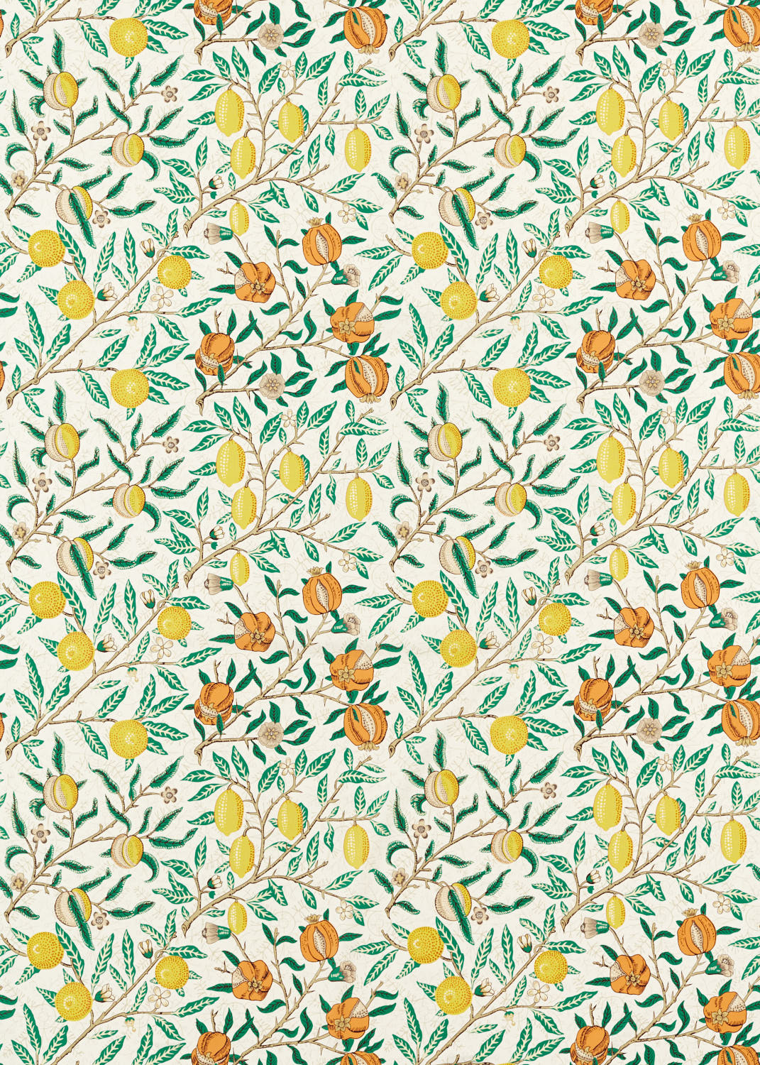 Fruit Sap Green & Tangerine Fabric