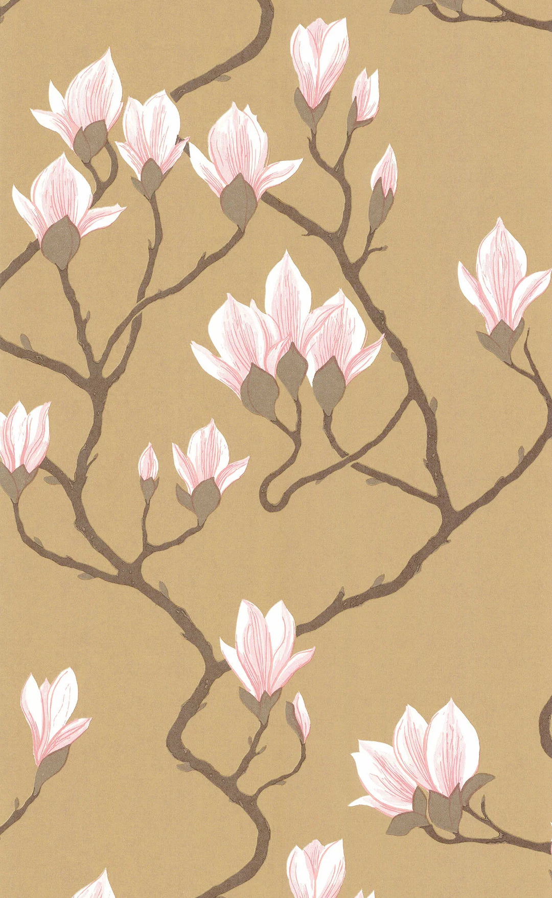 Magnolia Wallpaper by Cole & Son - 72/3008 | Modern 2 Interiors