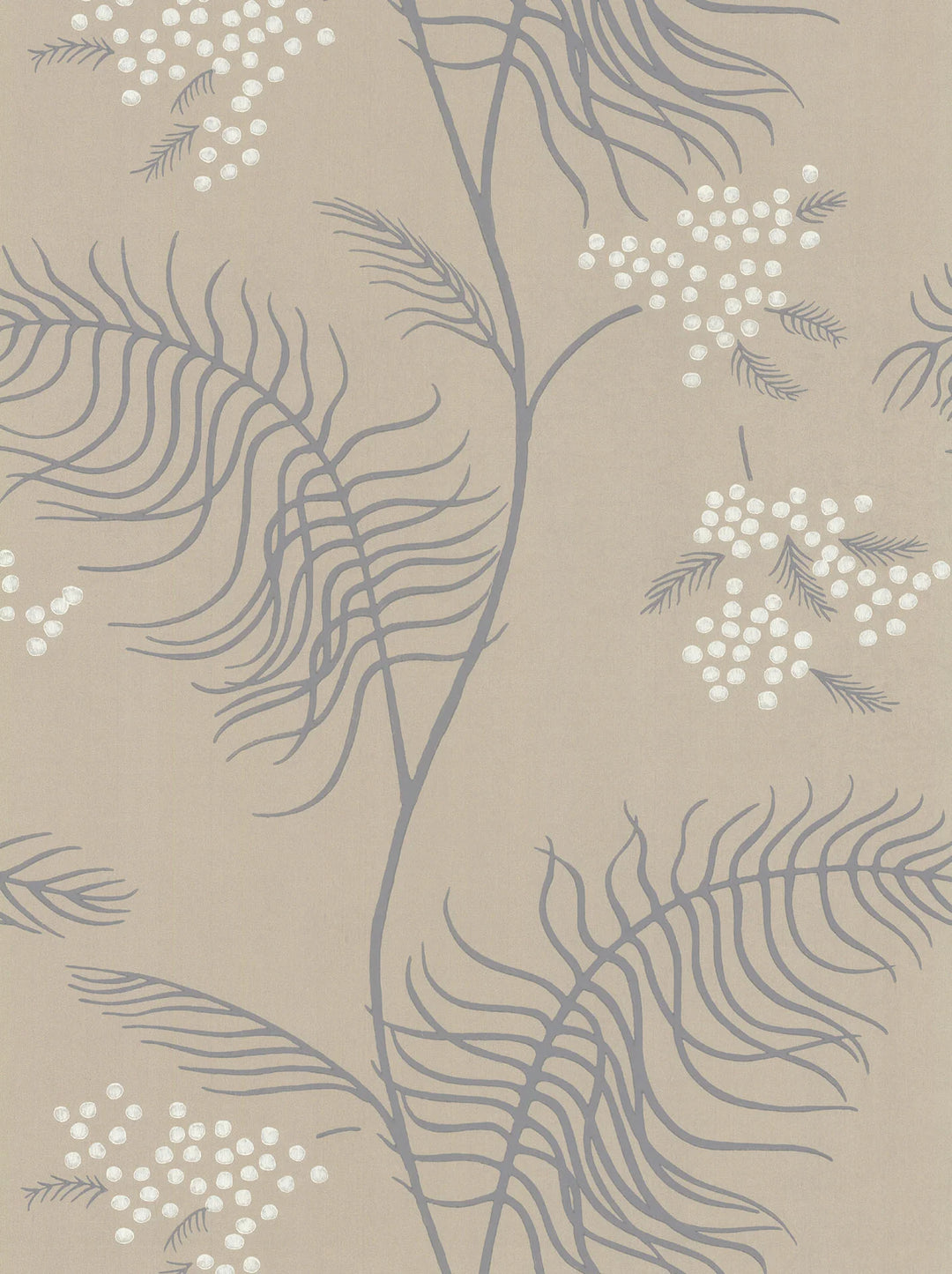 Mimosa Wallpaper by Cole & Son - 69/8131 | Modern 2 Interiors