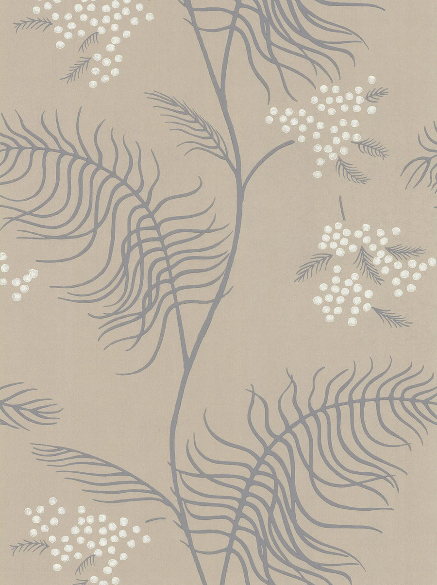 Mimosa Wallpaper by Cole & Son - 69/8131 | Modern 2 Interiors