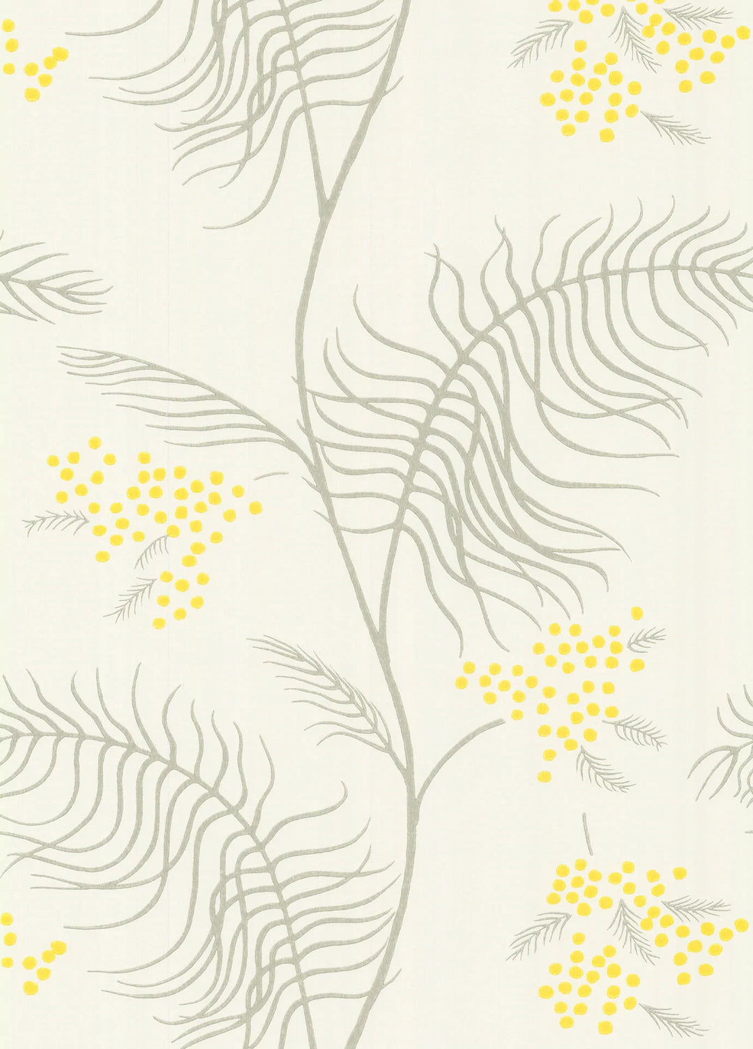 Mimosa Wallpaper by Cole & Son - 69/8132 | Modern 2 Interiors