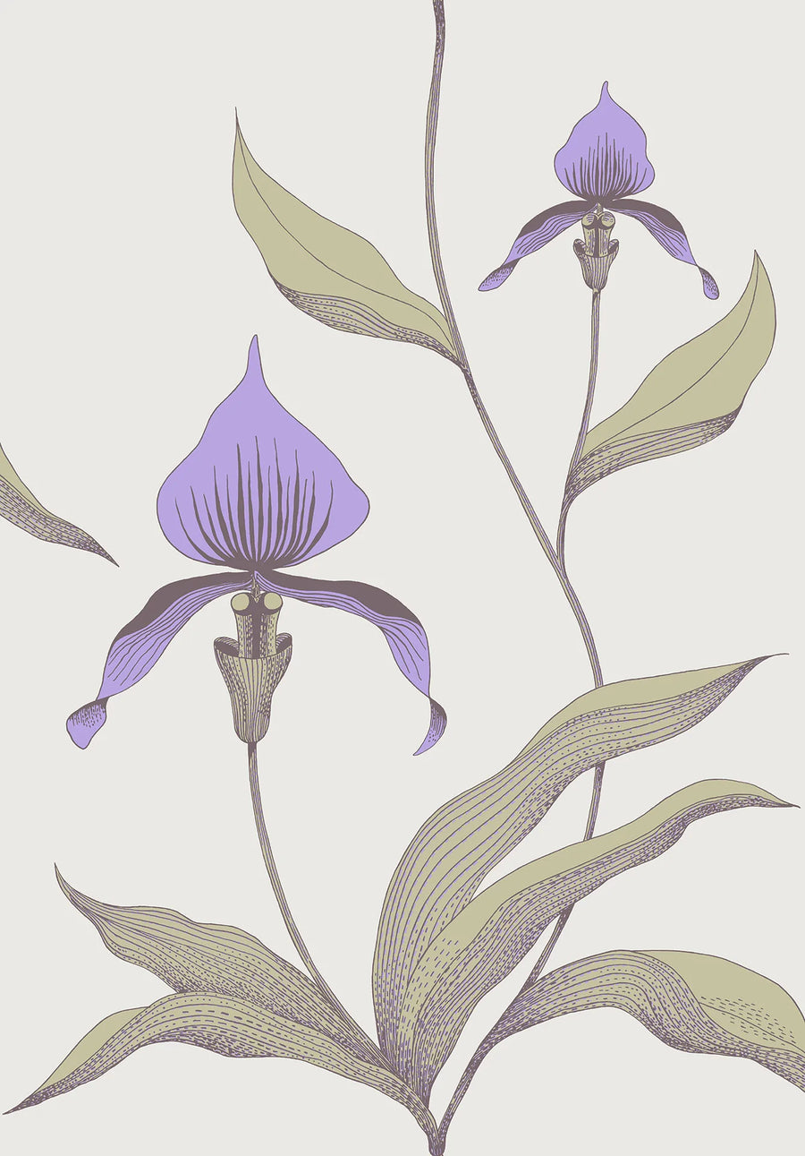 Orchid Wallpaper by Cole & Son - 66/4024 | Modern 2 Interiors