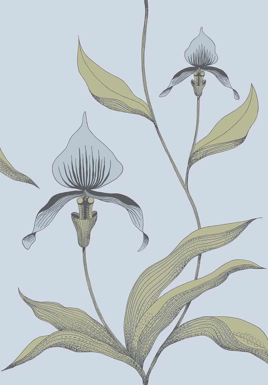 Orchid Wallpaper by Cole & Son - 66/4026 | Modern 2 Interiors