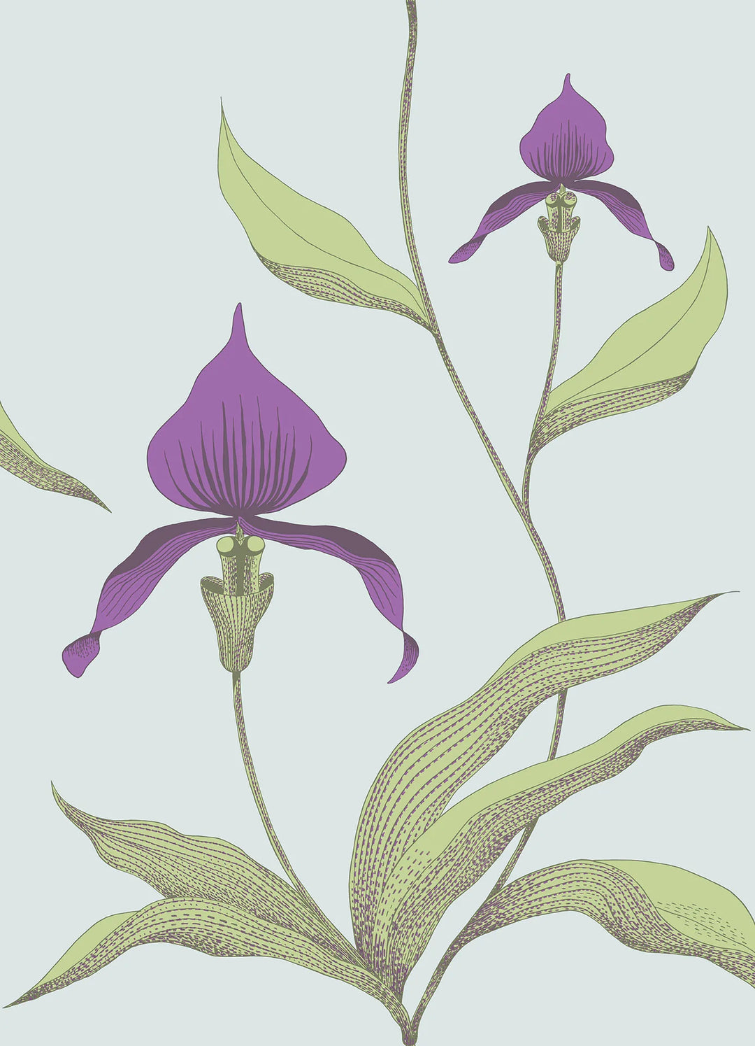 Orchid Wallpaper by Cole & Son - 66/4027 | Modern 2 Interiors