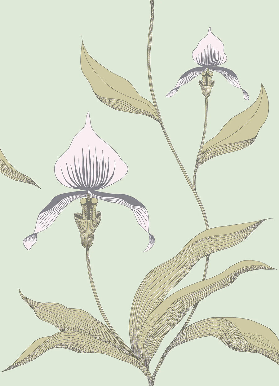 Orchid Wallpaper by Cole & Son - 66/4028 | Modern 2 Interiors