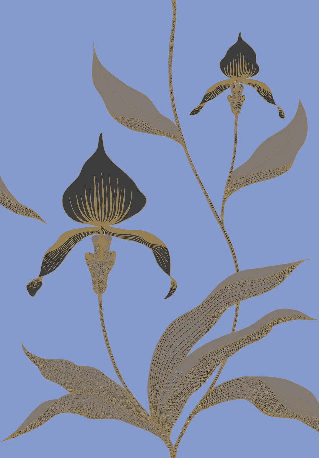Orchid Wallpaper by Cole & Son - 66/4030 | Modern 2 Interiors