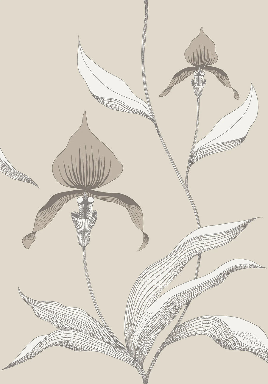 Orchid Wallpaper by Cole & Son - 95/10058 | Modern 2 Interiors