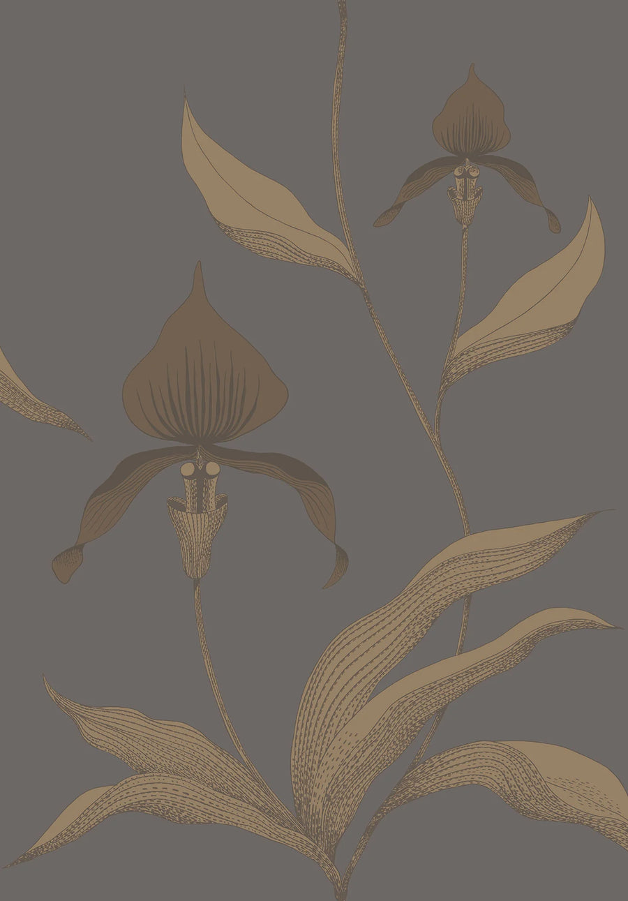 Orchid Wallpaper by Cole & Son - 95/10056 | Modern 2 Interiors