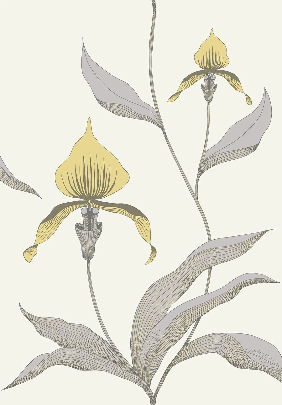 Orchid Wallpaper by Cole & Son - 95/10057 | Modern 2 Interiors