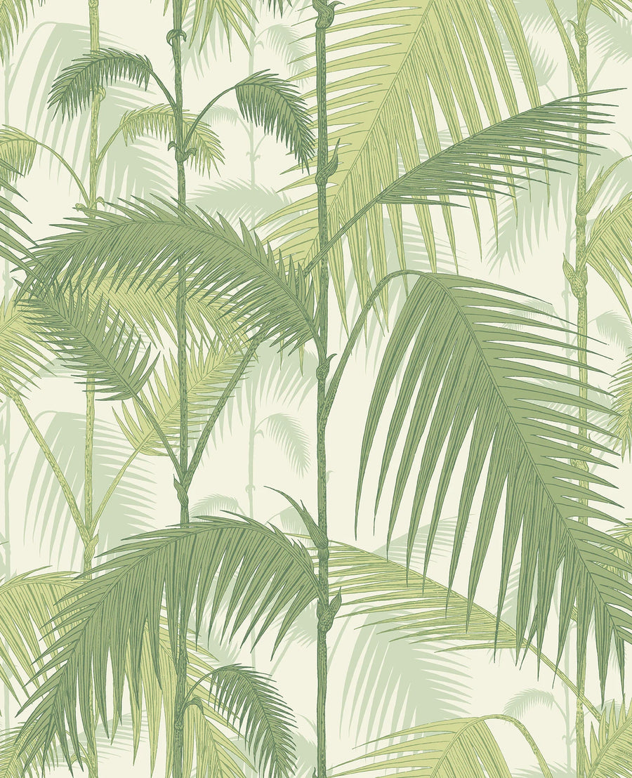 Palm Jungle Wallpaper by Cole & Son - 95/1001 | Modern 2 Interiors