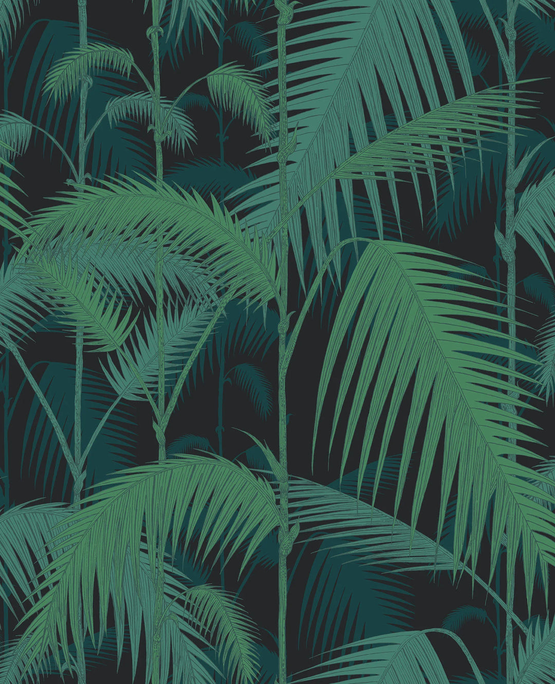 Palm Jungle Wallpaper by Cole & Son - 95/1003 | Modern 2 Interiors
