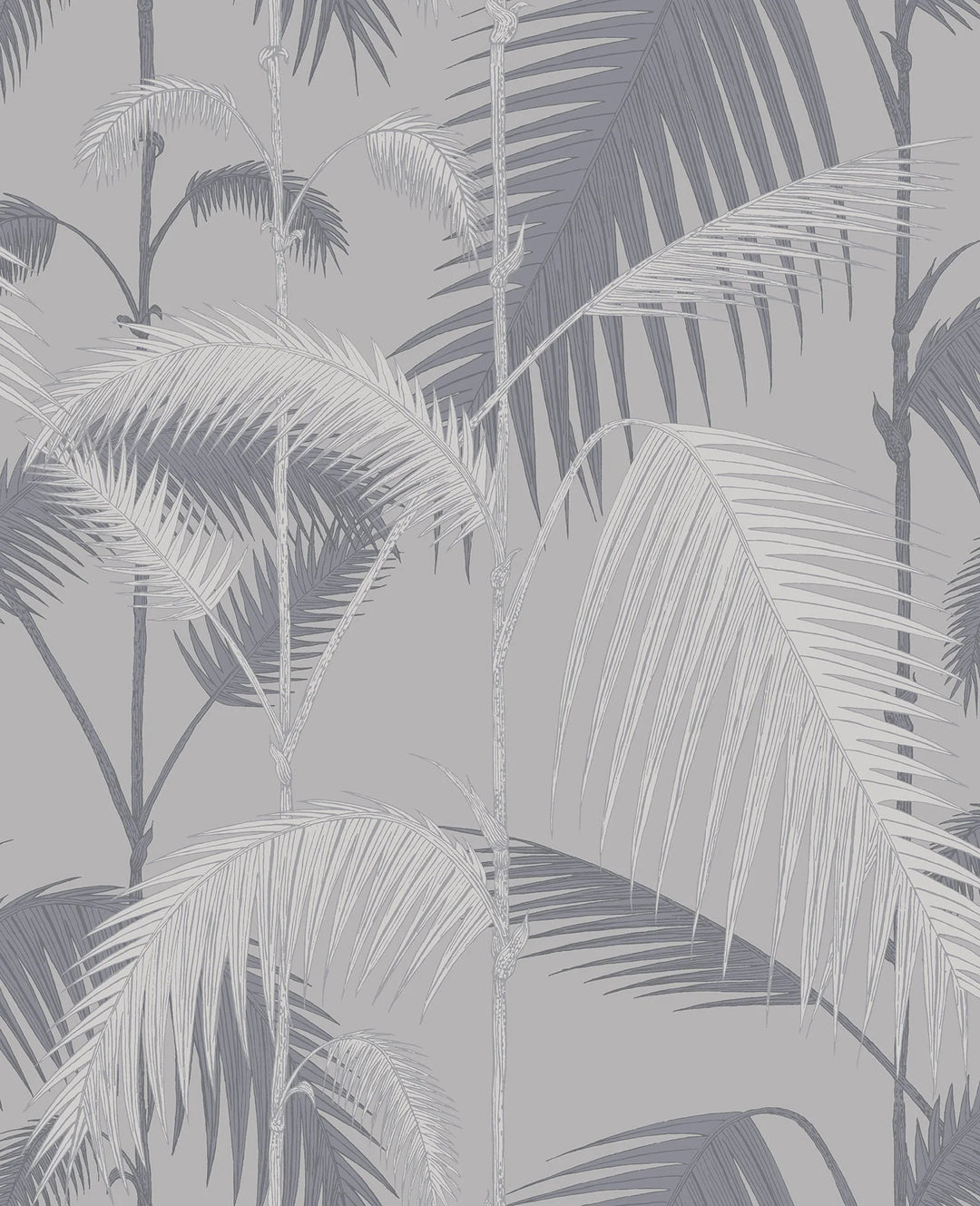 Palm Jungle Wallpaper by Cole & Son - 95/1007 | Modern 2 Interiors