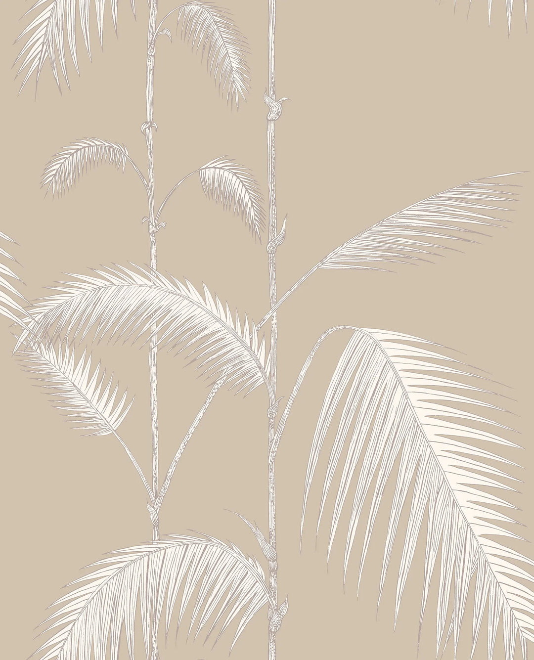 Palm Leaves Wallpaper by Cole & Son - 66/2013 | Modern 2 Interiors