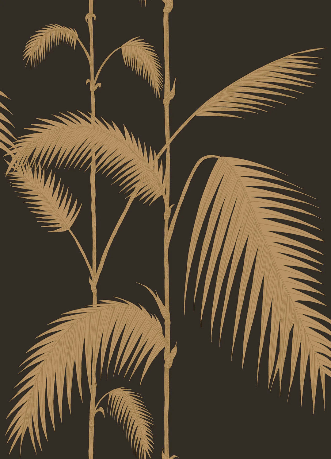 Palm Leaves Wallpaper by Cole & Son - 66/2014 | Modern 2 Interiors