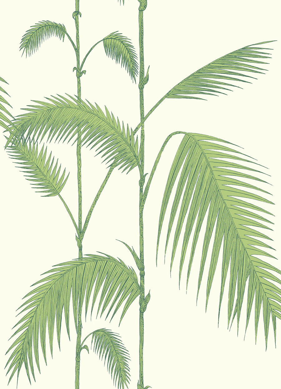 Palm Leaves Wallpaper by Cole & Son - 95/1009 | Modern 2 Interiors