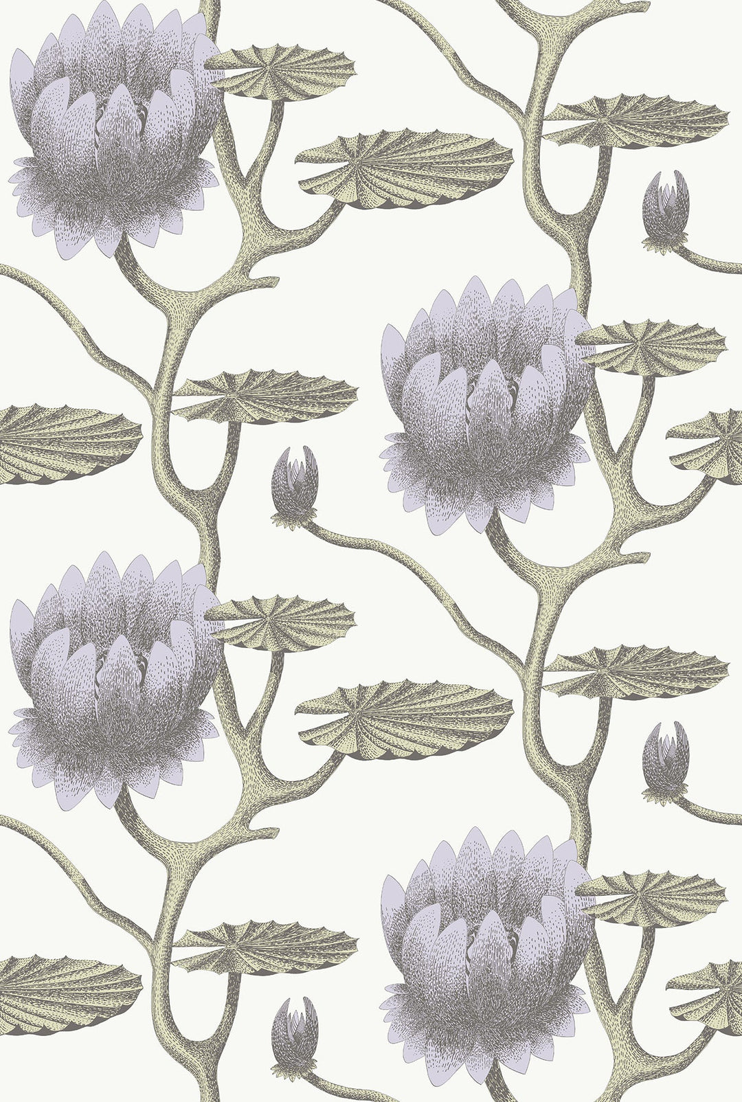 Summer Lily Wallpaper by Cole & Son - 95/4023 | Modern 2 Interiors