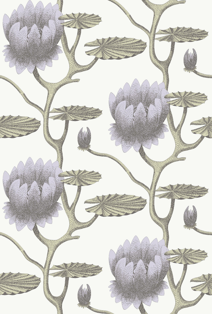 Summer Lily Wallpaper by Cole & Son - 95/4023 | Modern 2 Interiors