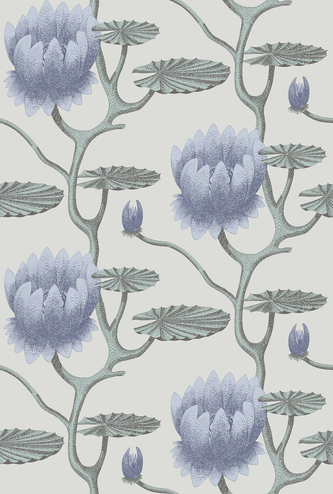Summer Lily Wallpaper by Cole & Son - 95/4024 | Modern 2 Interiors