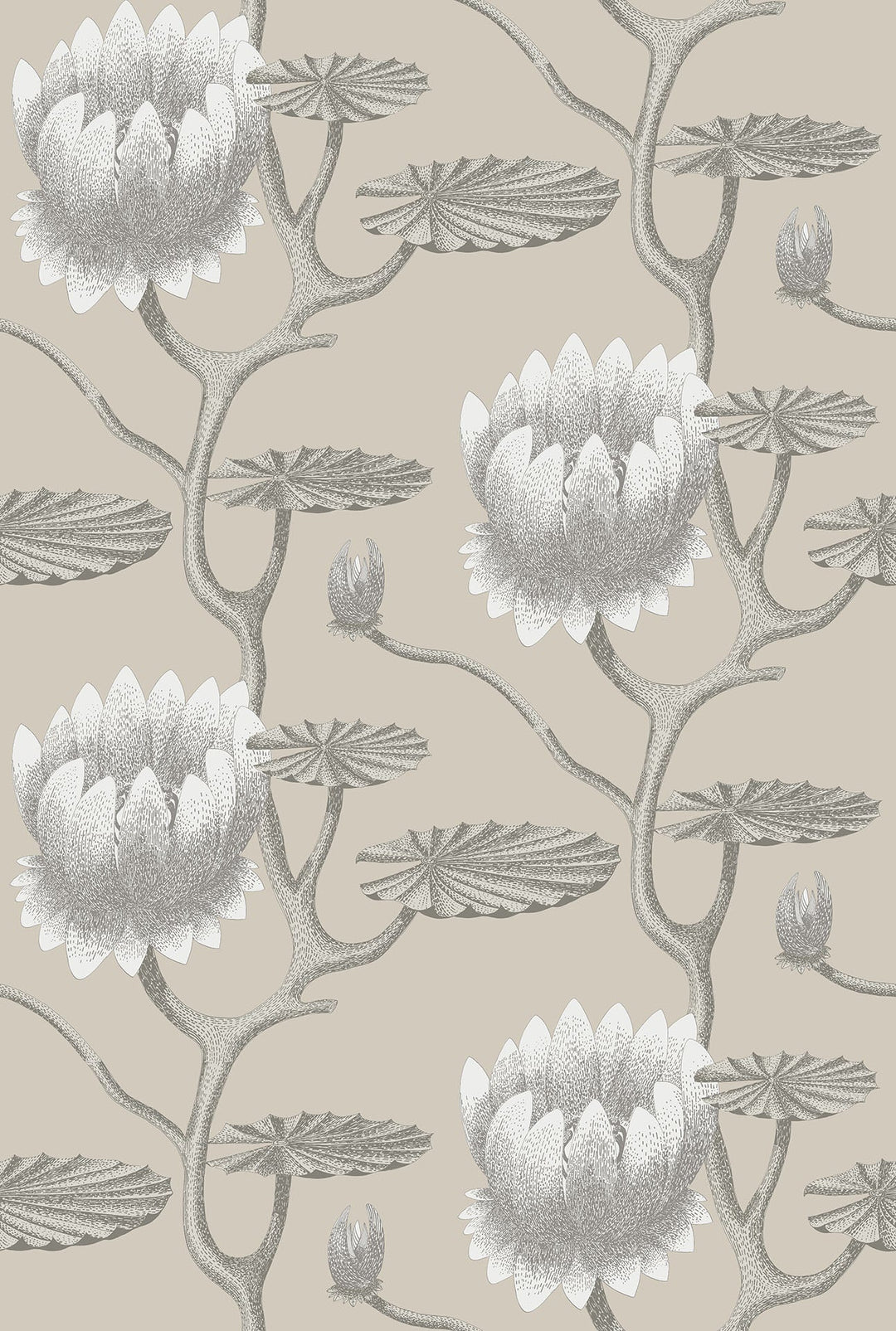 Summer Lily Wallpaper by Cole & Son - 95/4025 | Modern 2 Interiors