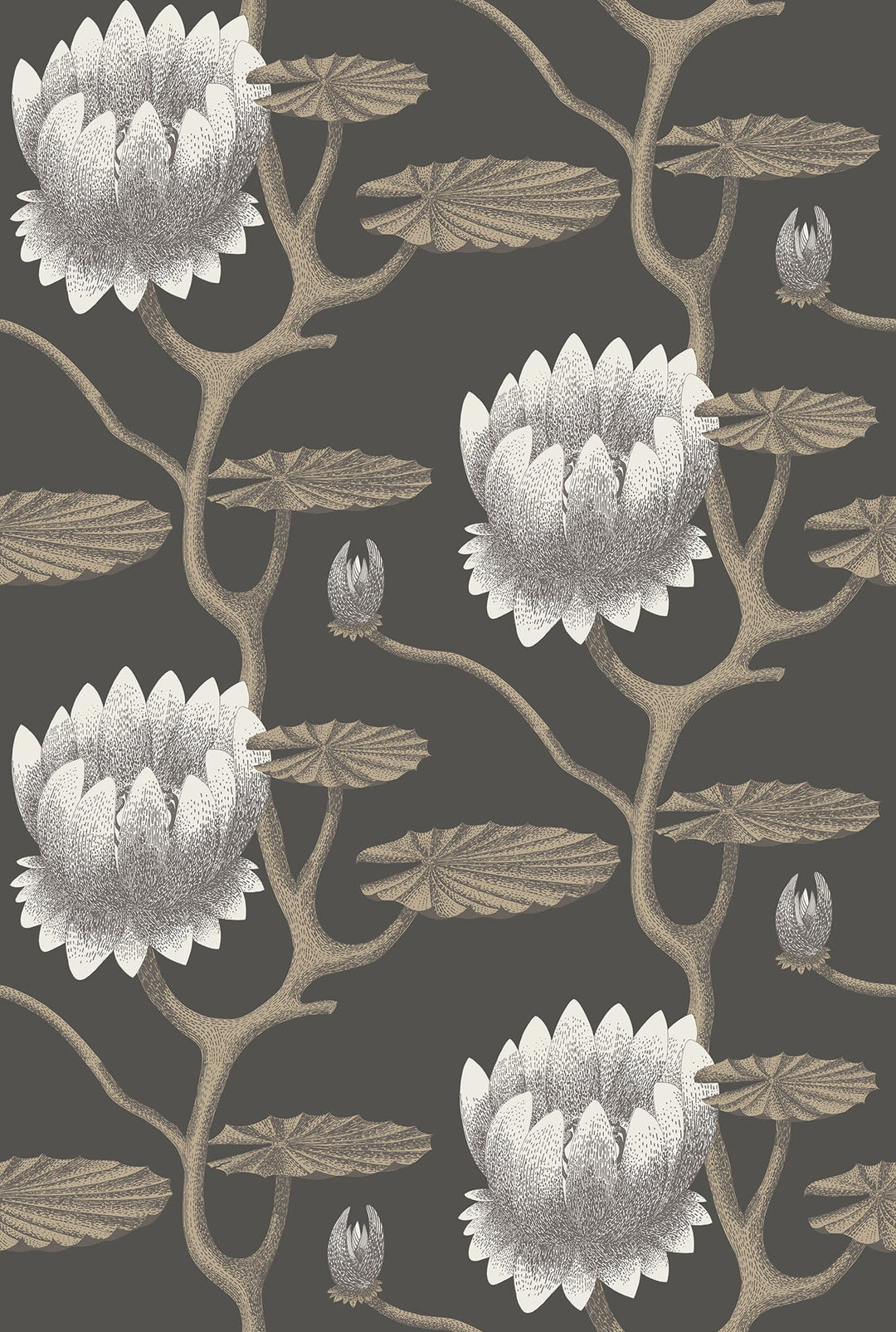 Summer Lily Wallpaper by Cole & Son - 95/4026 | Modern 2 Interiors