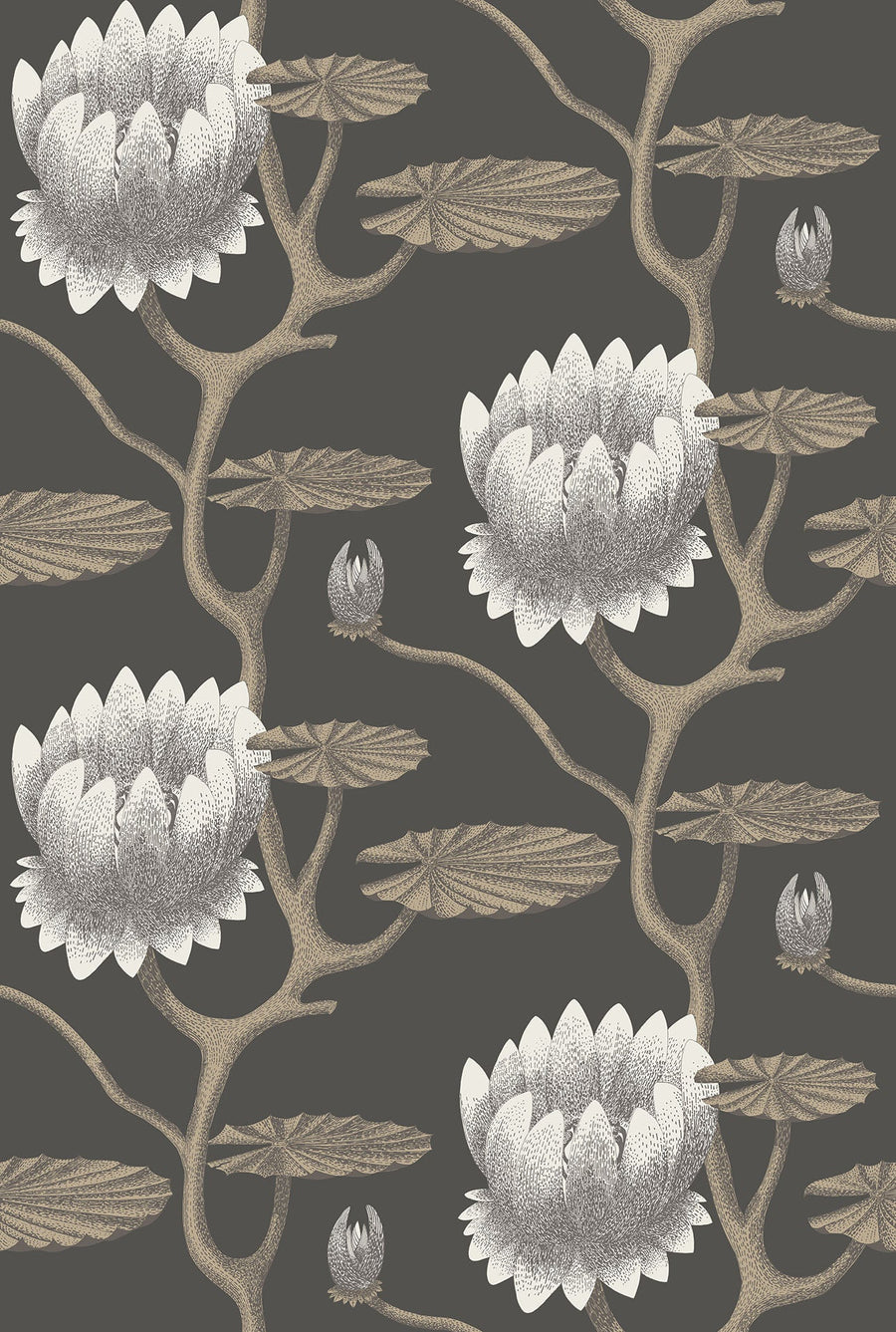 Summer Lily Wallpaper by Cole & Son - 95/4026 | Modern 2 Interiors