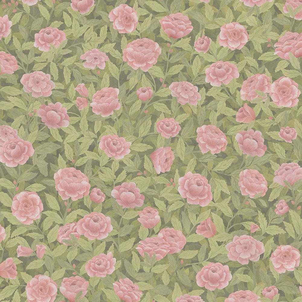 Idylls Roses Line Union Blush Fabric