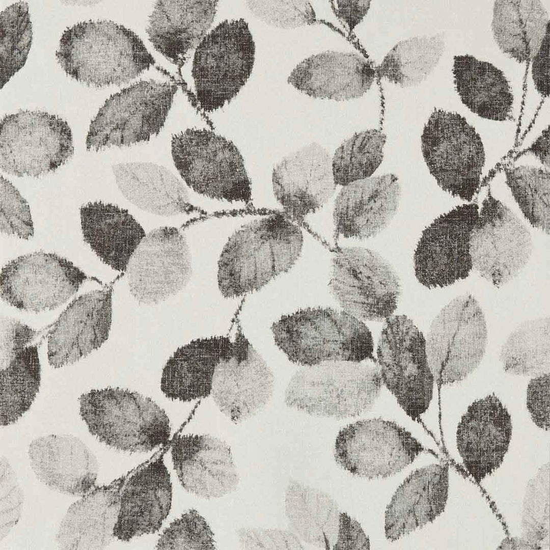 Northia Charcoal Wallpaper