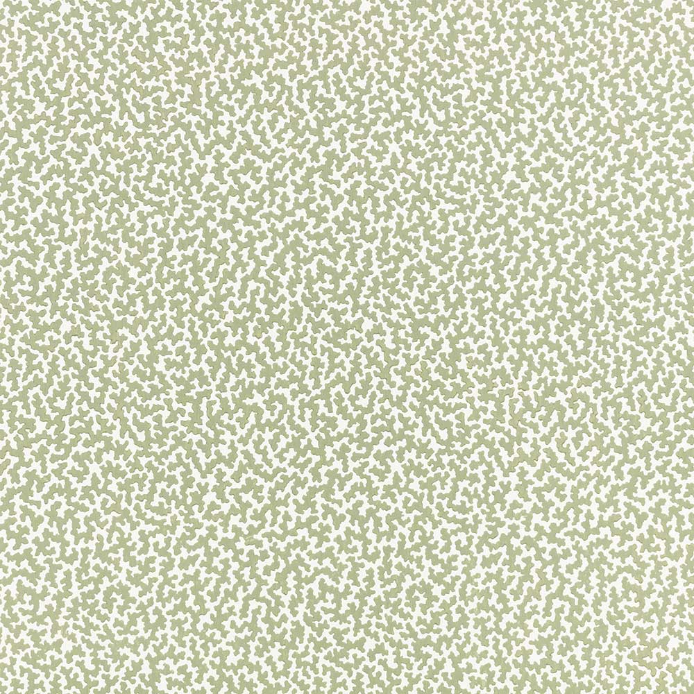 Junie Aloe Wallpaper